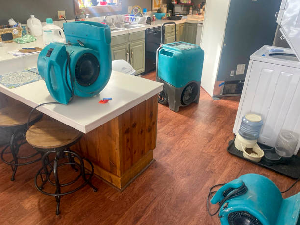 Best Water damage mitigation services  in Pell City, AL