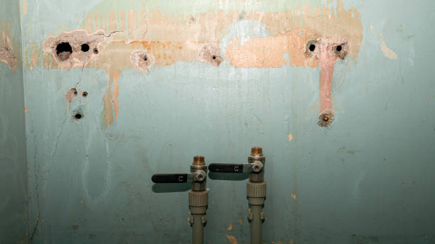 Best Water damage restoration cost  in Pell City, AL