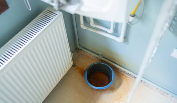 Reliable Pell City, AL Water damage restoration Solutions