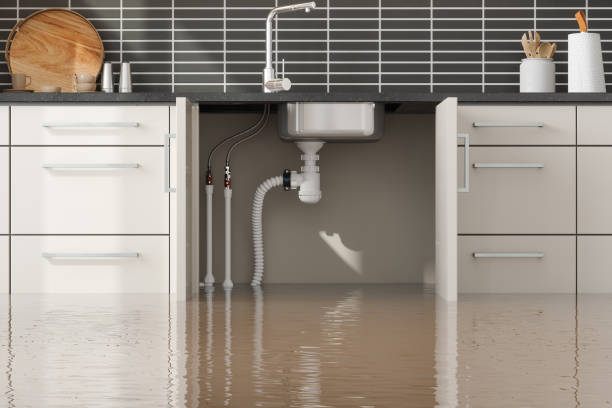 Best 24/7 water damage repair  in Pell City, AL